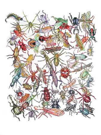Insekten|Siebdruck&handkoloriert|100x70
